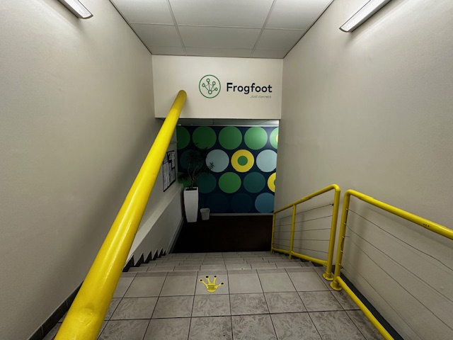 To Let Commercial Property for Rent in Observatory Western Cape